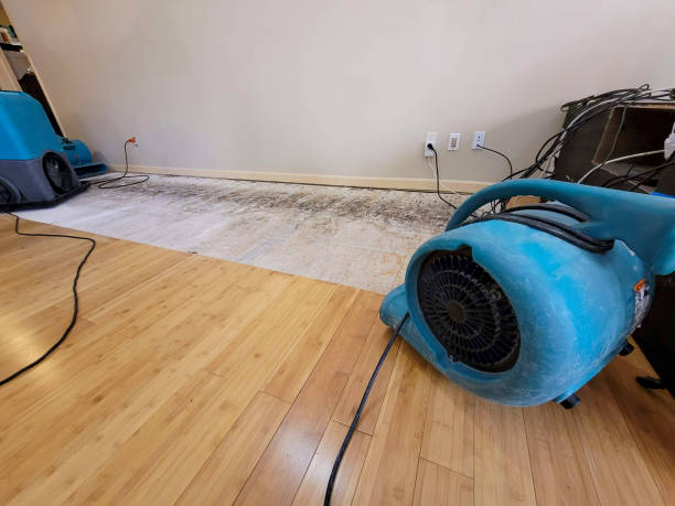 Professional Sewage Cleanup technician working in Salter Path, NC